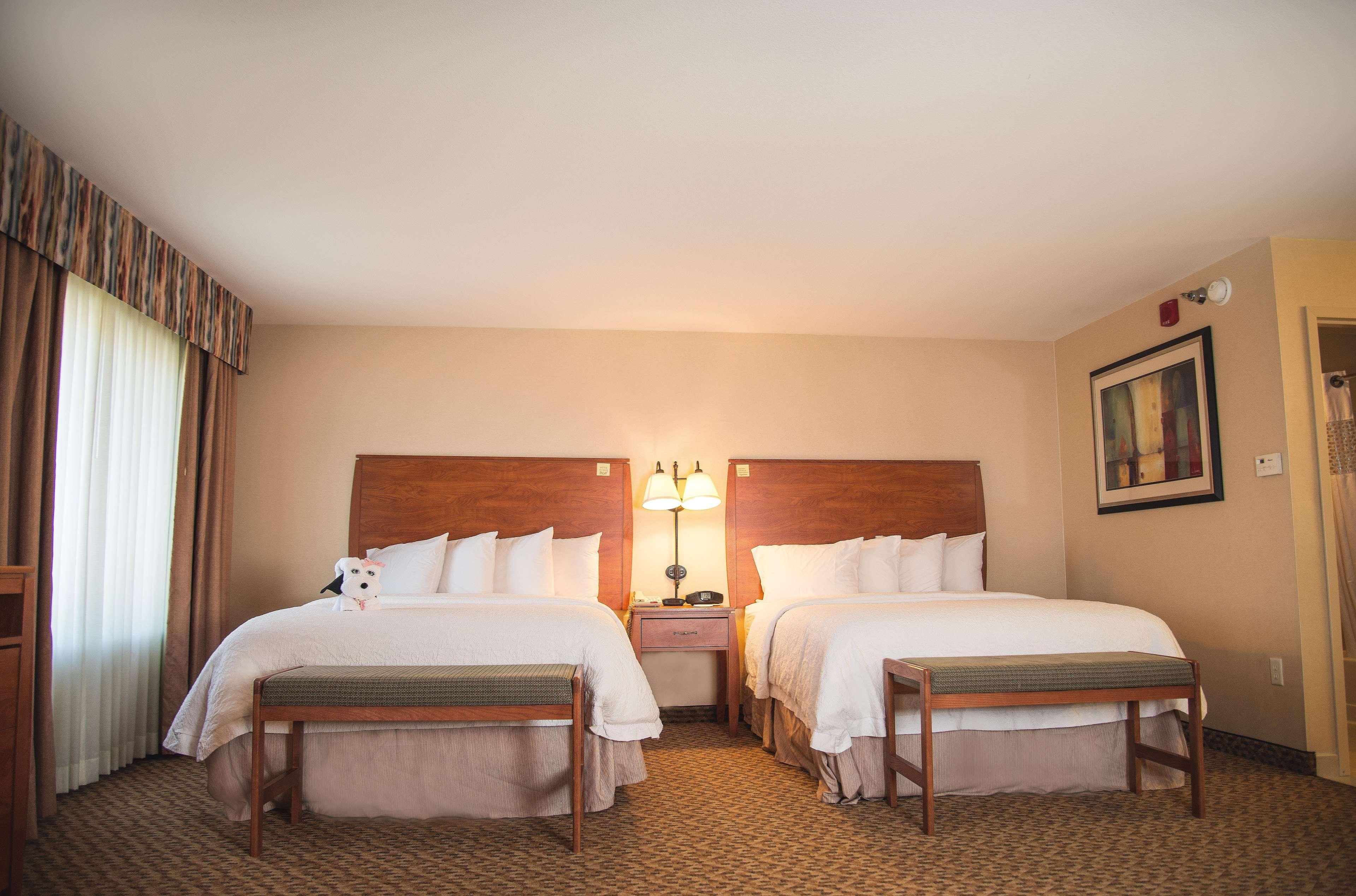Hampton Inn & Suites Greeley Buitenkant foto