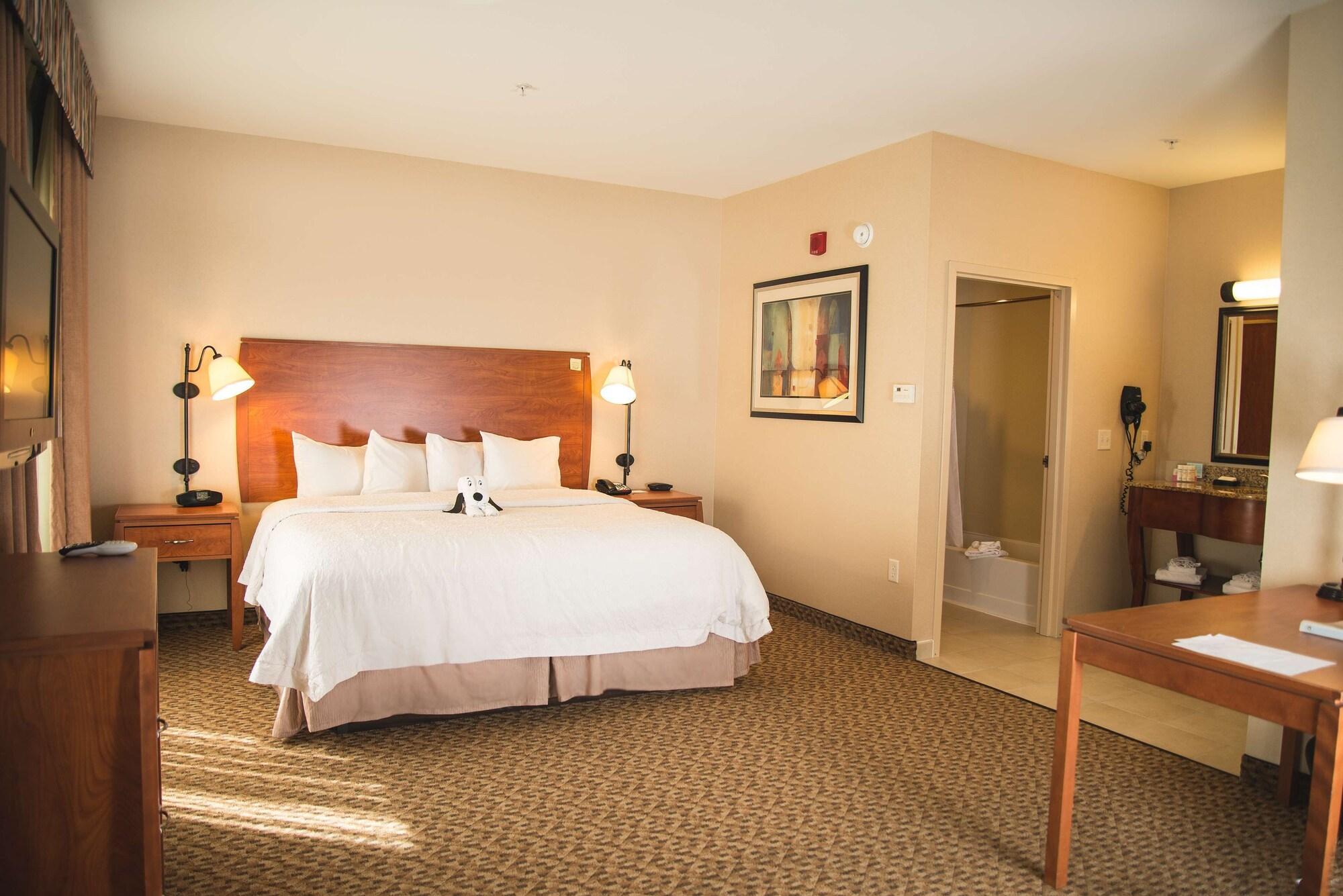 Hampton Inn & Suites Greeley Buitenkant foto
