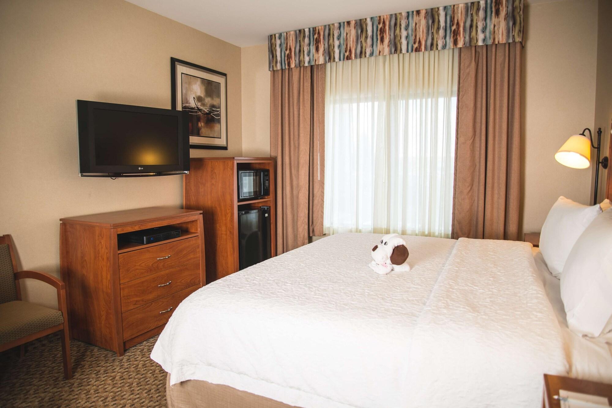 Hampton Inn & Suites Greeley Buitenkant foto